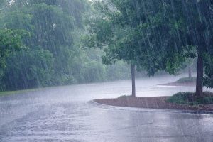 Regen und Sonnenschirm Platzregen